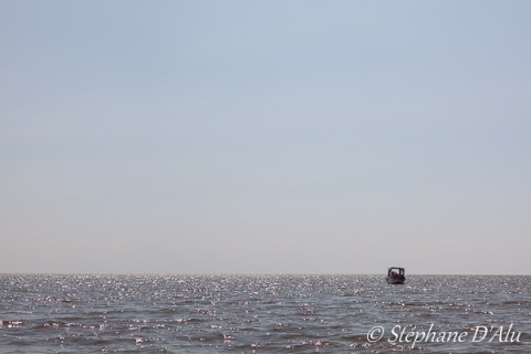 5D_64788