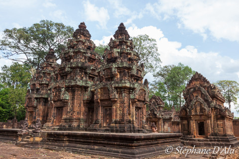 5D_65584