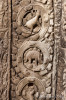 5D_65462