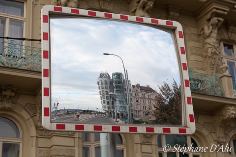 5D_23369