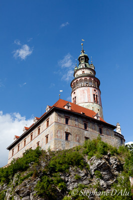 5D_23563