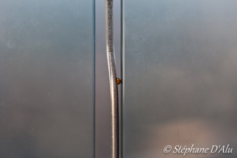 5D_32837