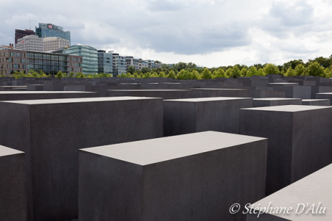 5D_33748