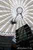 5D_34428