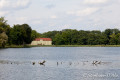 5D_34996