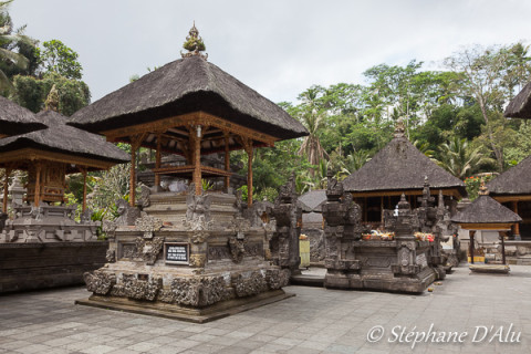5D_83493