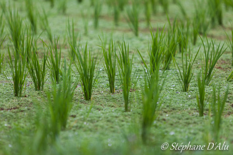 5D_83639