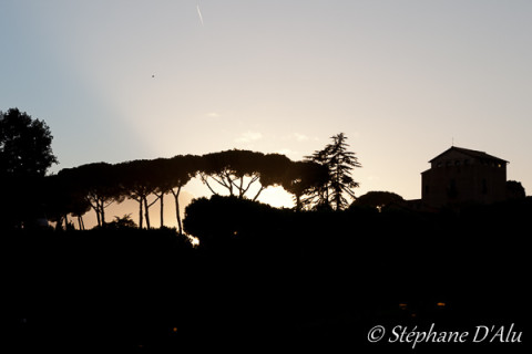5D_41848