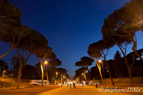 5D_42727