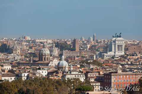 5D_44311