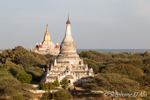 5D_96225