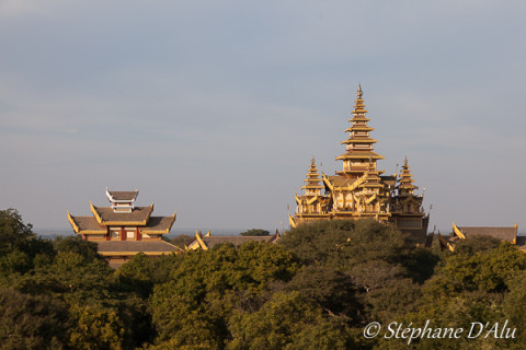 5D_96235