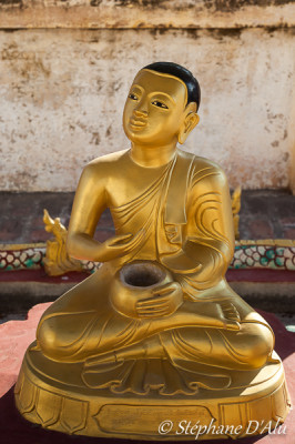 5D_97566