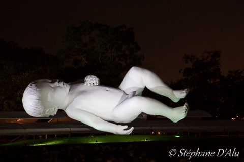 5D_82505