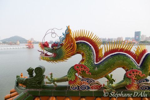 5D_94679