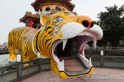 5D_94754