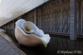 5D_93692