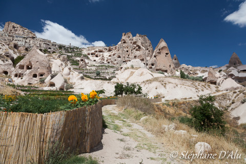5D_53947
