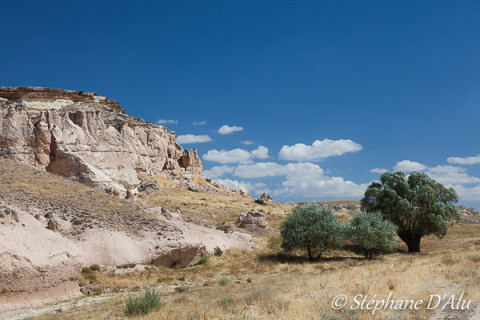 5D_54079