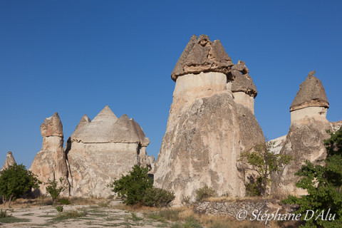 5D_54239