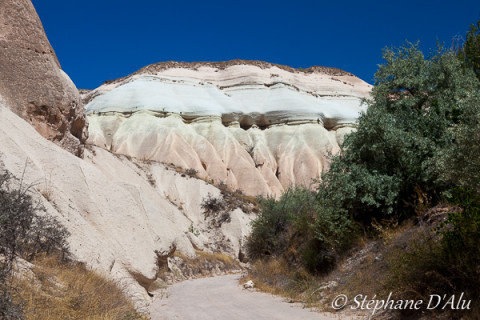 5D_54352
