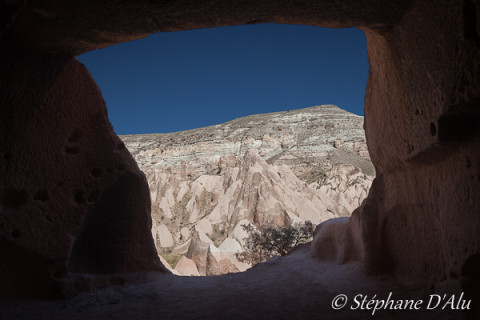 5D_54457