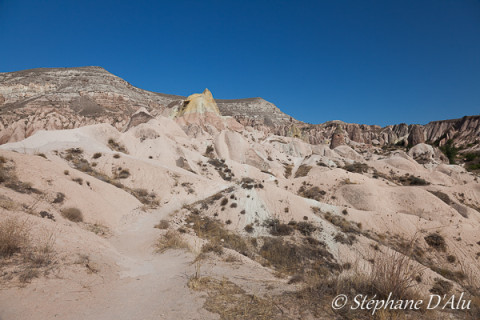 5D_54515