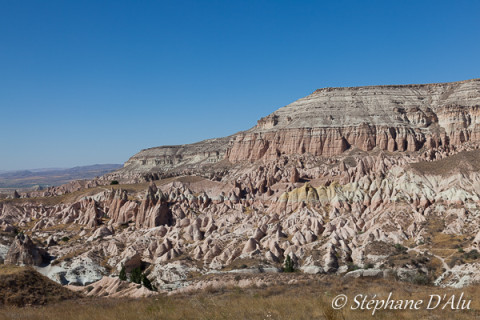 5D_54529