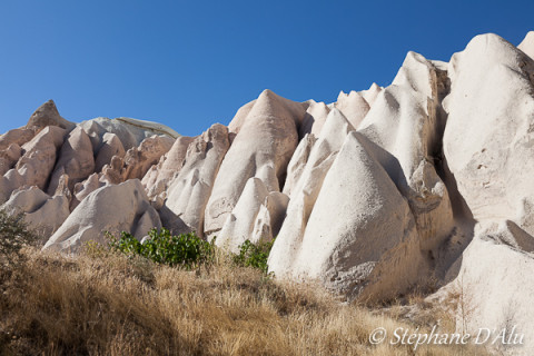 5D_54550