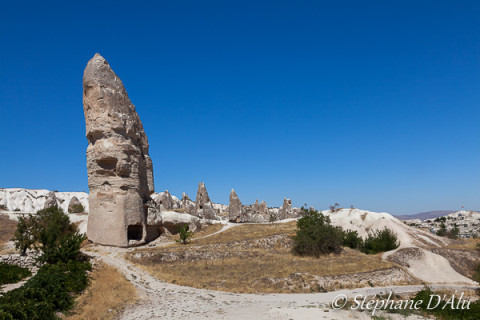 5D_54773