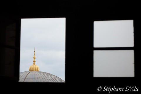 5D_55516