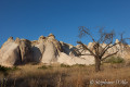 5D_54294